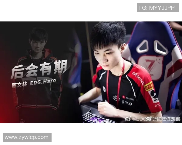 赛后分析:JDG与LNG对抗中的战术意识与团队配合探讨